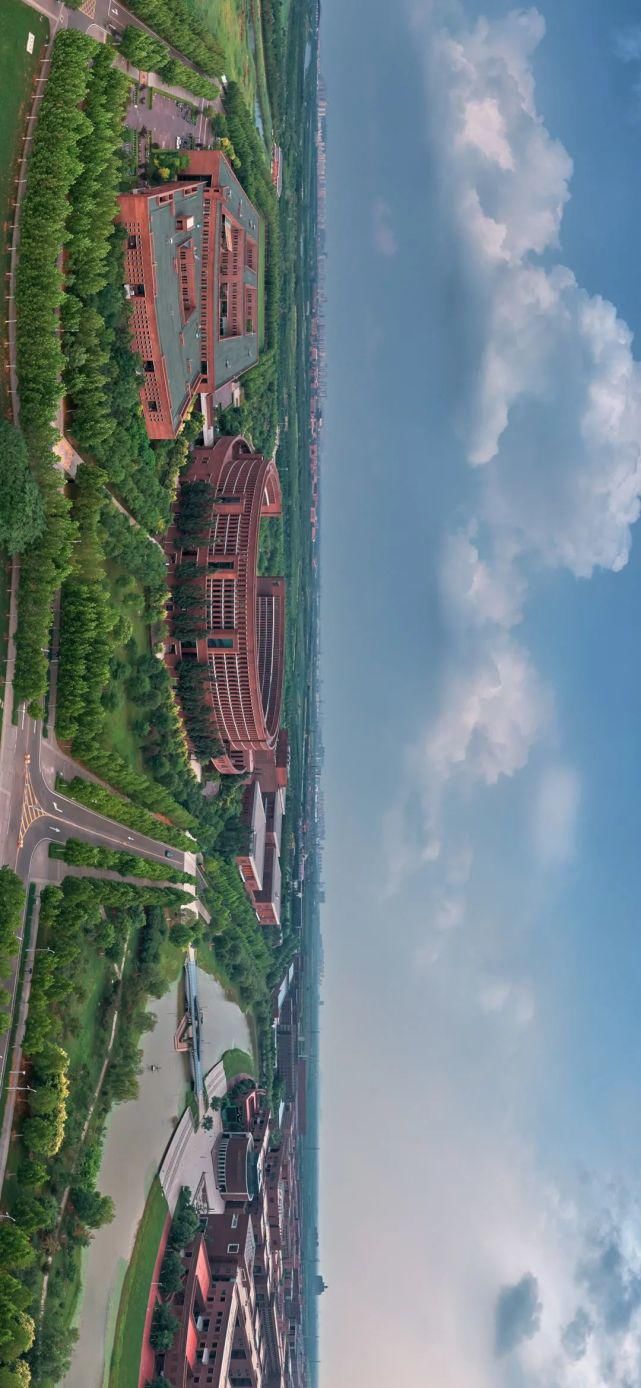 北洋园|啊,我的天大啊!