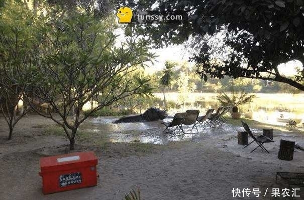 觉醒|8张「一觉醒来世界怎么变了」的照片