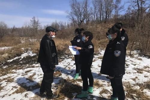 办案|上半年综合结案率第一!黑龙江鹤岗法院司法办案“百日会战”取得新战果