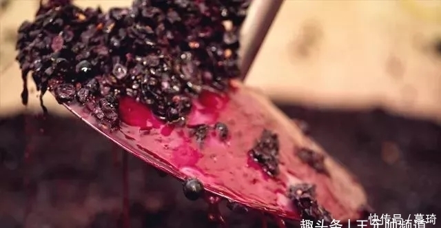 高价|别卡速:低价酒与高价酒的本质区别在哪里【红酒知识36】