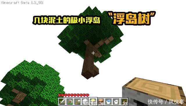 你有没|我的世界：树生长极其罕见的五种情况，六年老玩家表示：已看懵！