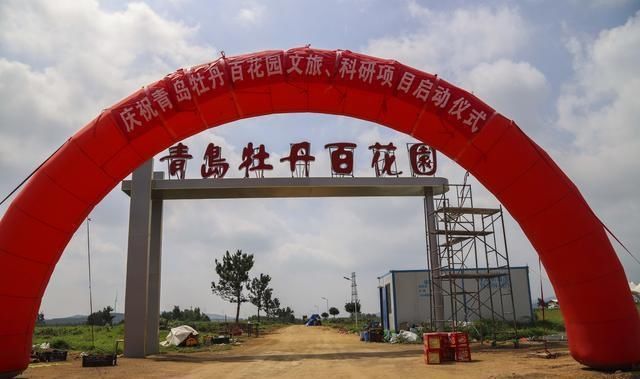  山镇|藏在宝山镇的美丽花园，不仅大丽花花开迷人眼，更有牡丹玉笑珠香