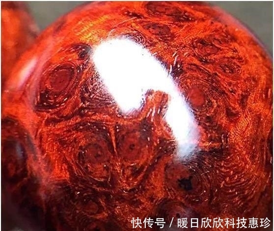 料子|捡漏得了块小叶紫檀大瘤料,切开之后买料人亏大了