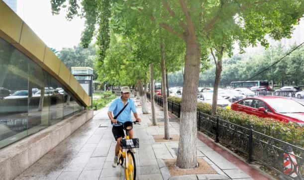 打造|沈阳将多措并举打造“慢行友好城市”