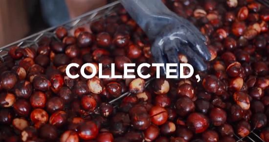  塑料|海外创意荟 | 塑料废物竟成水下新物种；汉堡王发起“减薪皇堡”活动……