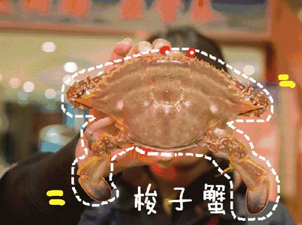 今日|今日开海!这84种海鲜,你都认识吗?你真的会吃海鲜吗?