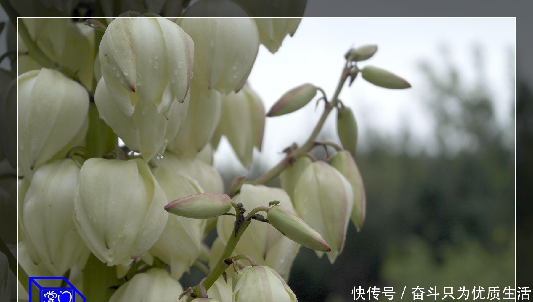 成大器|成年人有这四种行事方式,注定难成大器,现在改正还来得及