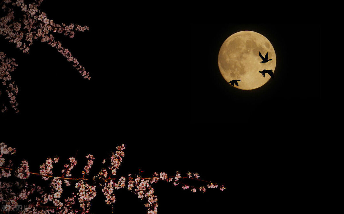 谨记|独身女性慎防性侵,这6点安全指南需谨记,要保护好自己