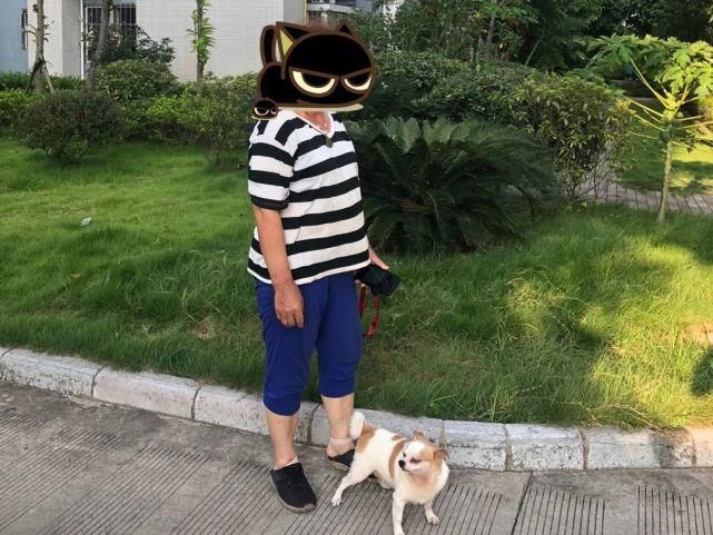 文明|处置不文明养犬行为，警方不打烊！