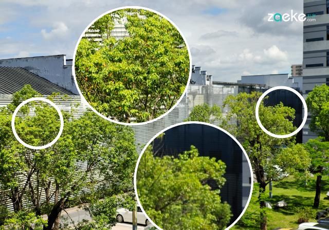  X50|vivo X50 Pro+ 拍照专项评测：强悍如此，堪称炫技