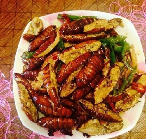  咸香|简单的12道家常菜，就是那么下饭咸香开胃，营养解馋，老少皆宜