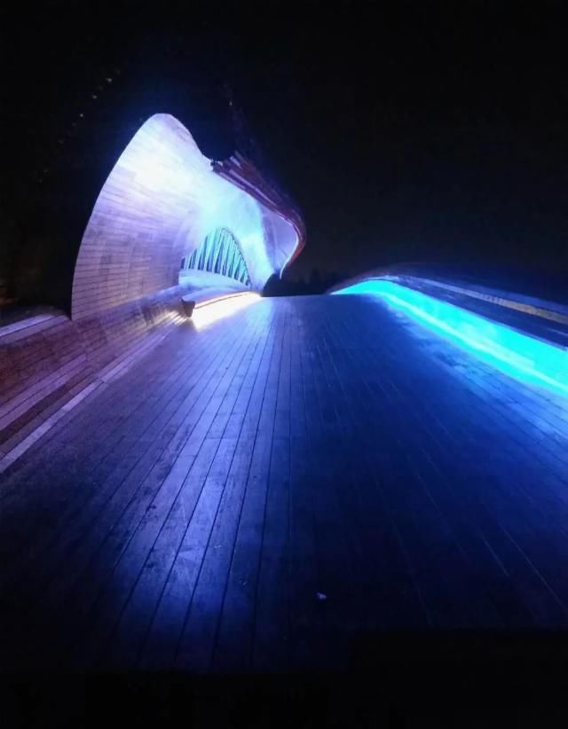  网红|【探索】滴水湖4座“网红”景观桥亮灯啦！快来先睹为快