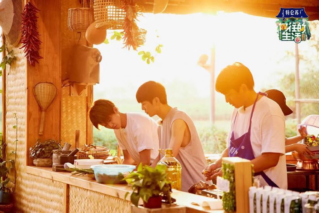  追不|《向往的生活》开始让人追不下去了？我不信！