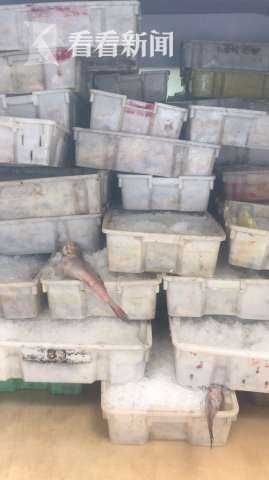  销往|长江口非法捕捞后销往江浙 警方侦破非法捕捞案