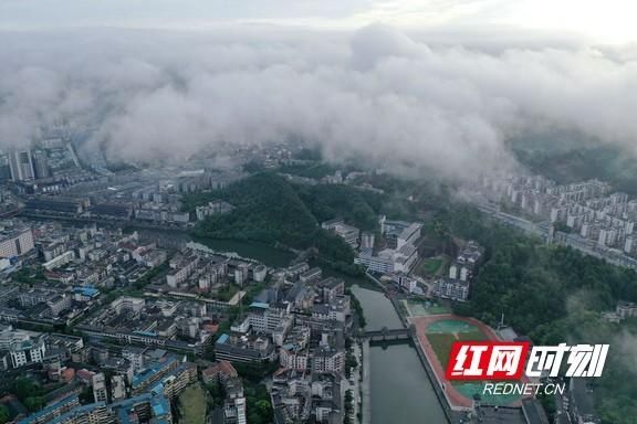 创建|通道举办“生态杯”机关篮球赛暨怀化市创建国家森林城市宣传活动