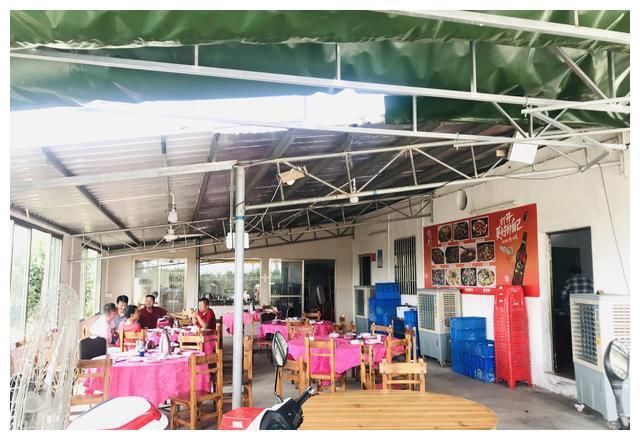 当地|陈皮之乡品美食,深扒当地农家乐特色菜肴,味道超.