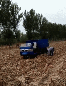 GIF|搞笑GIF：一直在模仿从未被超越，厉害