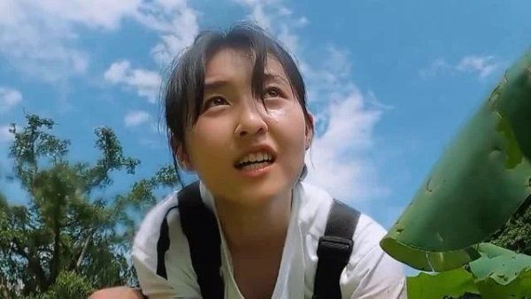  节目|《向往4》嘉宾挖藕被质疑是作秀，官博公开科普，打脸有点狠