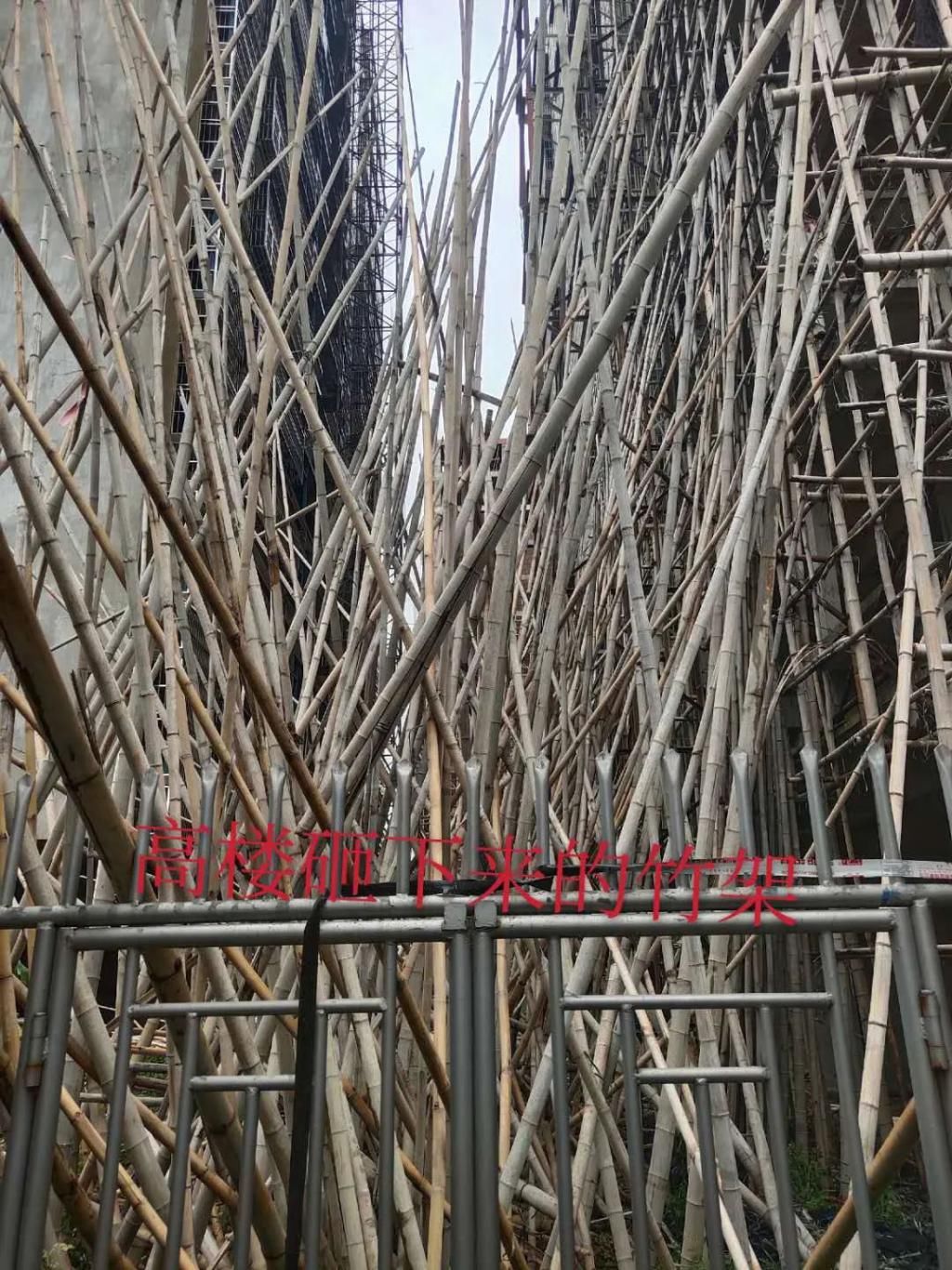  下山|潮汕某下山虎内，张小姐报警了