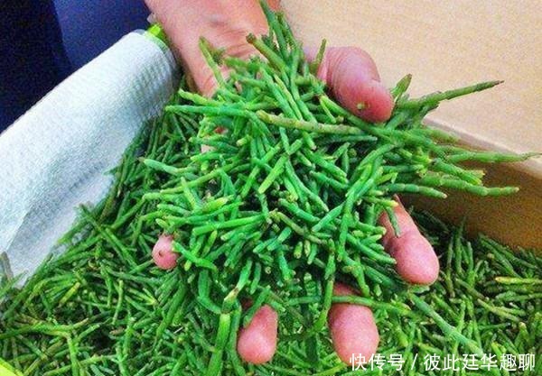  牛奶|它被外国人视为高端菜，含钙量是牛奶的5倍，国内种植却少有人吃