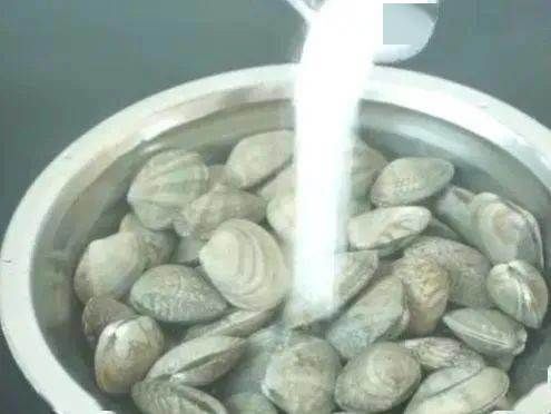  花甲|花甲不用使劲洗，只需倒点厨房里面的“它”，泥沙自己就跑出来！