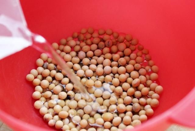  排骨汤|排骨汤怎么做才好喝？学会以下3点，轻松熬出神仙汤