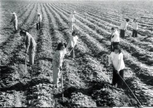  老照片|外国人拍摄的70年代中国老照片想不到70年代的人们是这样子