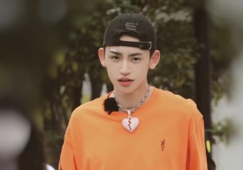 节目|《新手驾到》剧本太难做,开录一天后官博喊话:我们这综艺咋做下去