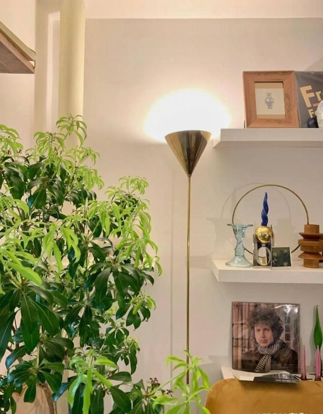  友钱的家|现在的年轻人，不住300㎡要住30㎡？