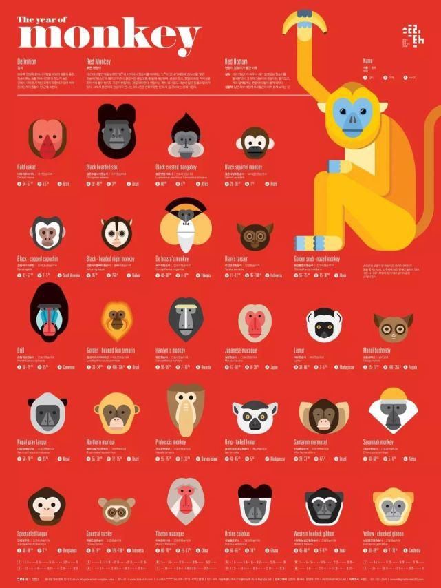 可视化|别小看设计这一张图,你绝对学不会