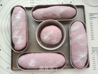 波波|中考加油包--紫薯奶酪波波球面包