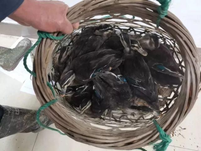  未来|晚上！未来科技城这些人偷偷干这事……