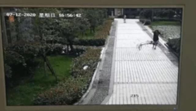  东方|东方时评丨“9岁男孩高空扔自行车”有敬畏有禁忌才能防范风险