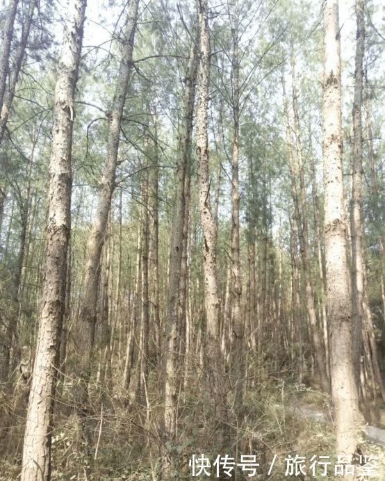 名不虚传|李白笔下的剑门关, 果然是名不虚传