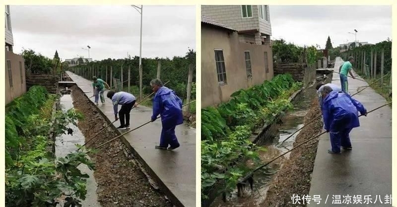  活动|每个星期四，崇明这些人一起相约“护家园”