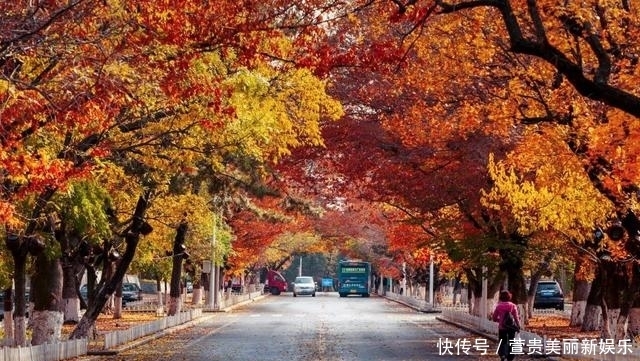 看过|看过太多的海,仍为这座“北方明珠”着迷