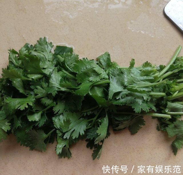 开胃|香菜拌海参,酸辣开胃,咸鲜入味儿