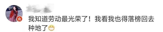  解析|你想要的高考语文作文解析来啦！