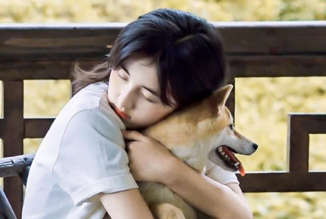  命运|泪目！《向往的生活》完美收官，彭彭一句话暗示节目第5季命运