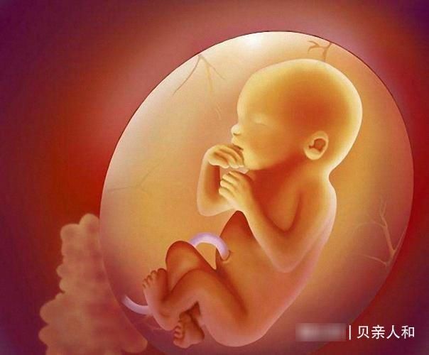  不到|试管婴儿对女人的伤害，不到万不得已不要尝试