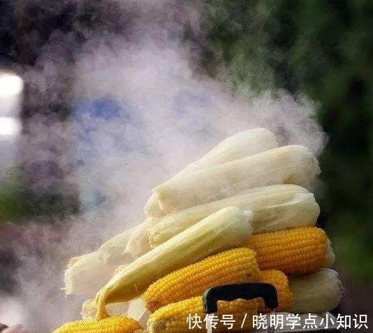 曝光|一个韩国男精英的独居生活曝光做一份蛋炒饭，6500万人围观