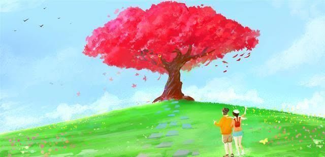  灾难|有的时候，爱而不得，就像是一场“灾难”