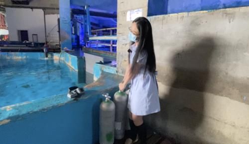 兼职|为赚钱给父母买月饼，95后律师国庆兼职“海底”嫦娥奔月表演