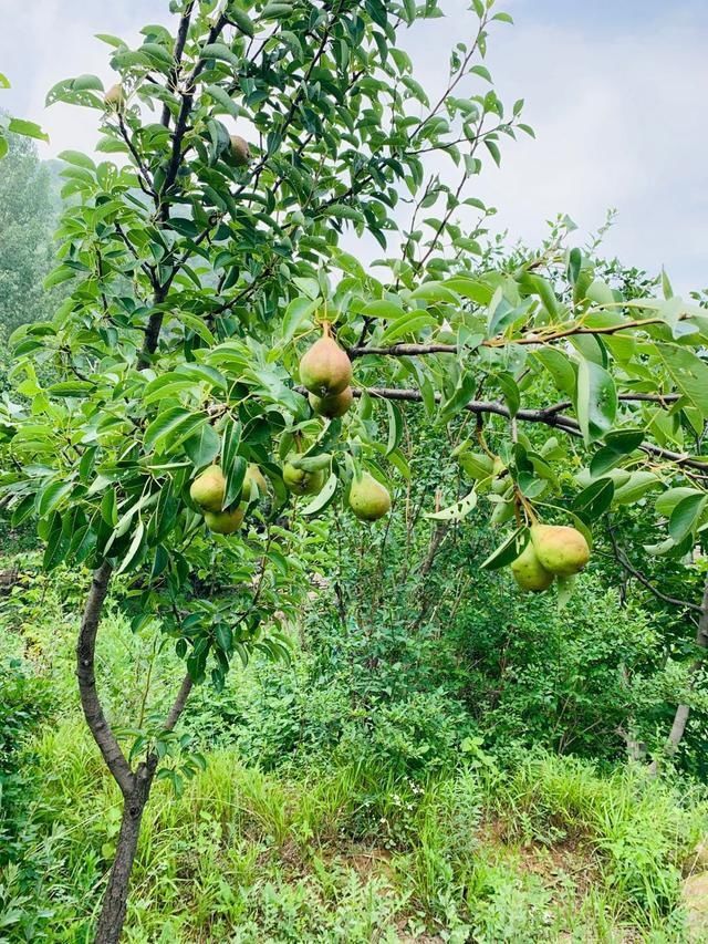  紫霞|郑州驴友团徒步紫霞关，偶遇南太行夏季云海