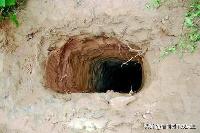 出没|避免被发现，盗墓者提醒“此地有鬼出没”，组成“四省联军”挖墓