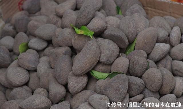  哪种|水果界的“李佳琦”，吃遍3000多种水果，哪种最好吃