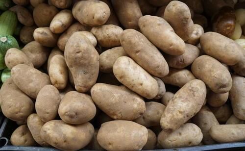  学会|才知道保存土豆有技巧，学会这么做，土豆放一年也不发芽不腐烂！