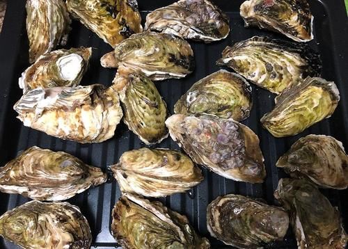  难道|撬生蚝时，难道用工具直接撬？原来一直做错，难怪这么累，又费劲