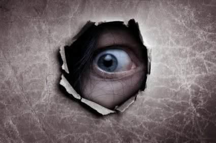 侵入|侵入他人摄像头看“直播”“偷窥狂”获刑