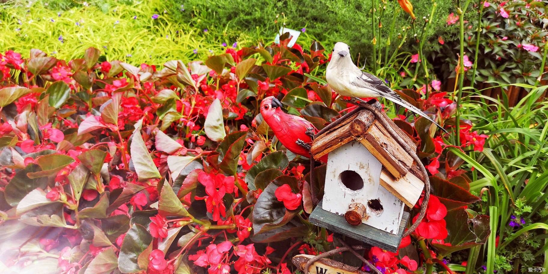  博物馆|游览中国园林博物馆